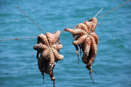 Octopus Squid Seafood Food Drink 92ee1d 1024