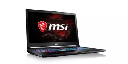 Msi Ge73 Raider Rgb 8re 466es