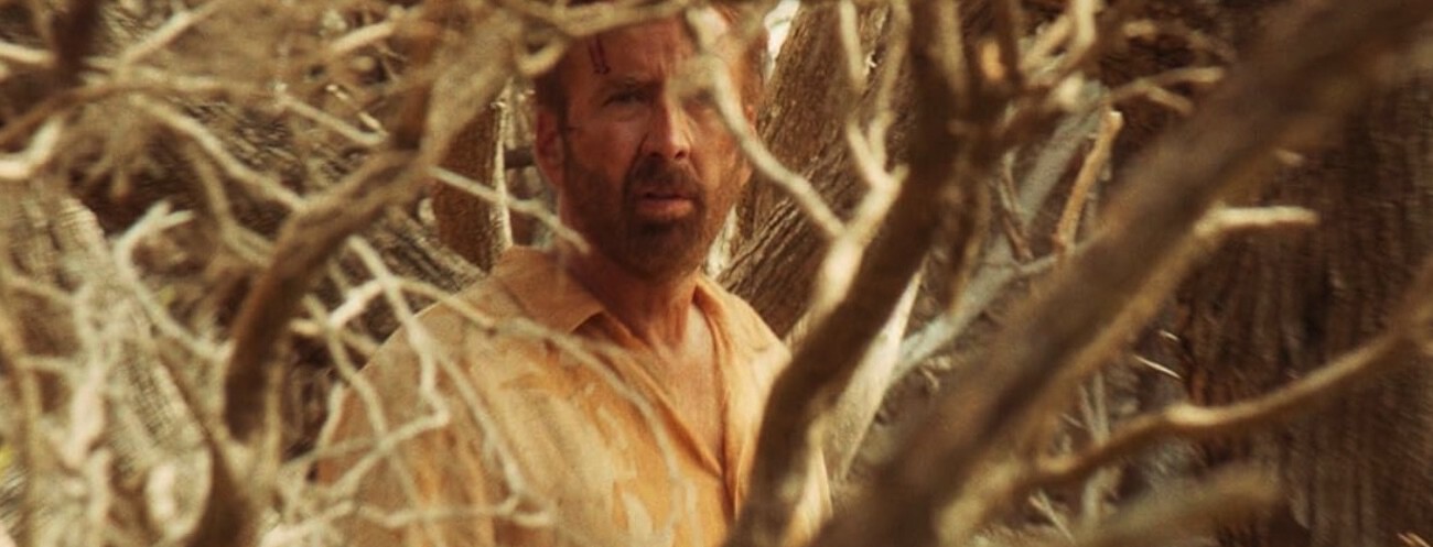Mañana llega a Prime Video una de las películas más increiblemente extrañas del último Nicolas Cage