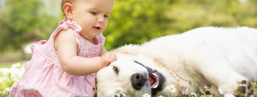 Mi hijo tiene miedo a los perros: como puedes ayudarle a superarlo