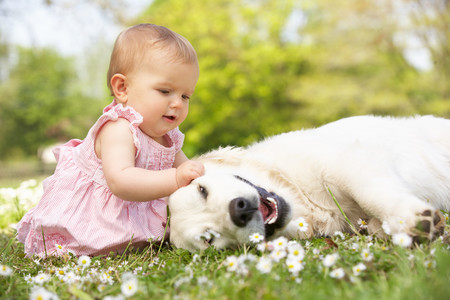 Mi hijo tiene miedo a los perros: como puedes ayudarle a superarlo