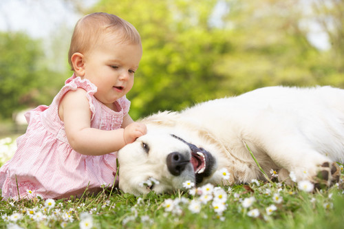 Mi hijo tiene miedo a los perros: como puedes ayudarle a superarlo
