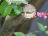 Los costes indirectos y las reestructuraciones empresariales