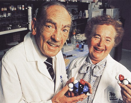 George Hitchings And Gertrude Elion 1988