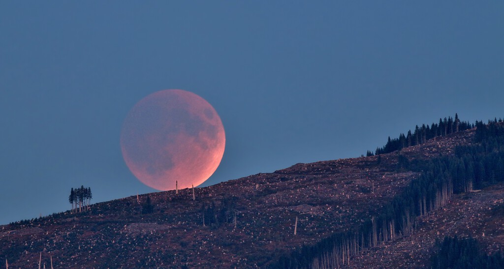 El domingo, la Luna saldrá teñida de rojo en casi toda España: será uno de los eclipses lunares más largos de la década
