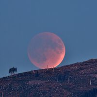 El domingo, la Luna saldrá teñida de rojo en casi toda España: será uno de los eclipses lunares más largos de la década