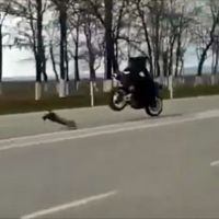 Una carrera entre un coche radiocontrol y una moto, o cómo hacer que dos cabezabuques se queden sin juguetes