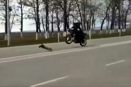 Una carrera entre un coche radiocontrol y una moto, o cómo hacer que dos cabezabuques se queden sin juguetes