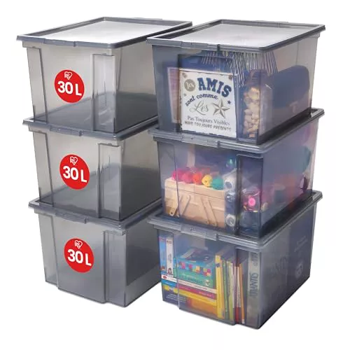 Iris Ohyama 6 Cajas de Almacenaje Plástico Versátiles con Tapa, 30L
