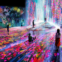Llega Borderless Art el primer museo de arte digital en Tokio