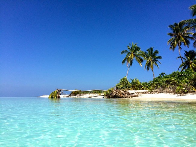 Castaway Island Maldives 8