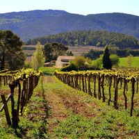 Ruta viajera y gastronómica por España para vivir intensamente la Navidad