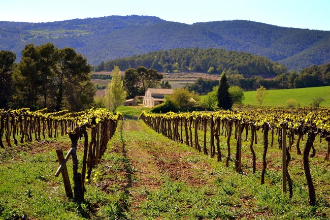 Penedes Cava Viaje