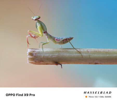 Oppo Find X9 Pro Tele Macro