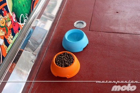 Comida para mascotas en Garmar