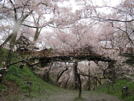 Takato Castle Ruins Dancingnomad3