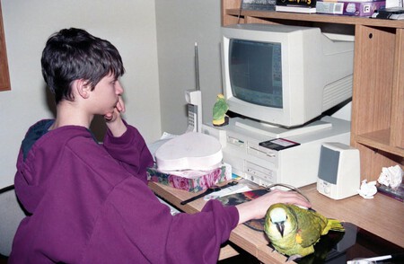 Pc Reddit Comunidad Gamer