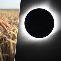 El eclipse solar de agosto va a llenar el campo español de turistas: esto es lo que piden los ingenieros agrícolas antes de que llegues  