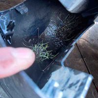 La Tesla Cybertruck tiene muchos problemas pero es una buena maceta. Un propietario descubre por casualidad que le está creciendo césped dentro