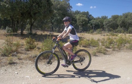 Haibike Sduro Hardserven Sl 2