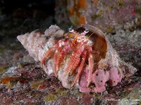 Localizar y evaluar las sinergias