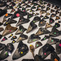 La mayor colección de malformaciones de España está a punto de cerrar. ¿El motivo? 23.000 euros