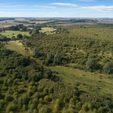 Este agricultor dejó de cultivar trigo en su granja de 152 hectáreas en 1988: 38 años después se ha reconvertido en un refugio de animales al norte de Londres 