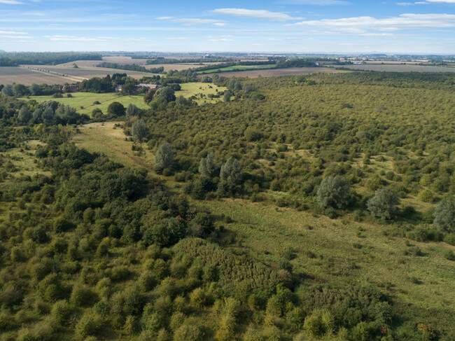 Strawberry Hill