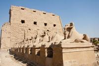 Egipto: descubren esfinges y un camino real