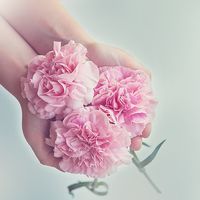 Diferenciar la competencia de la 'competencia' 