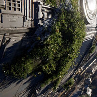 Los investigadores pegaron musgo a la capa exterior de la Estación Espacial Internacional por 283 días: este es un primer paso hacia el reverdecimiento de otros mundos