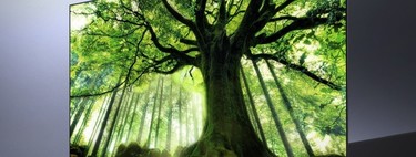 LG presentará en el CES su nueva familia de televisores OLED 8K "reales" con diagonales de 77 y 88 pulgadas