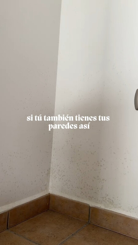 moho paredes