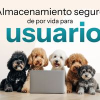Hasta 10 TB de almacenamiento en la nube para ti y cuatro amigos con descuentazo: así es la nueva promo de pCloud 