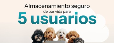 Hasta 10 TB de almacenamiento en la nube para ti y cuatro amigos con descuentazo: así es la nueva promo de pCloud 