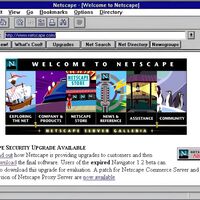La historia de cómo una decisión de Netscape en 1995 para reforzar la seguridad es el origen de los monopolios de las tech de hoy 