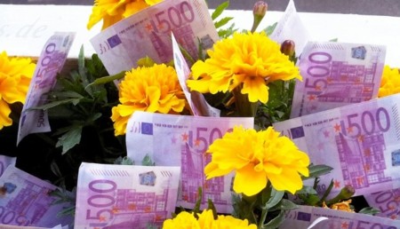 dinero flores billetes