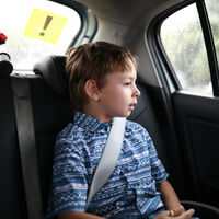 Los alzadores homologados para que los niños viajen en coche no son seguros, advierte la OCU