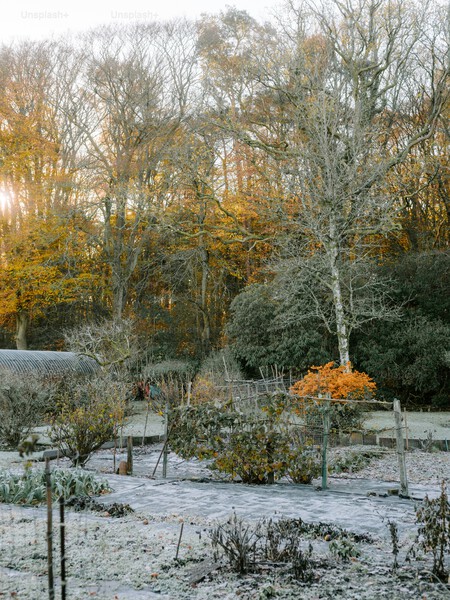 Premium Photo 1764324847311 5c8654bb1feb