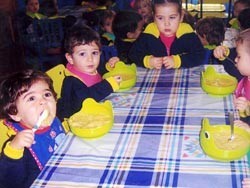 Menús escolares ecológicos en Andalucía