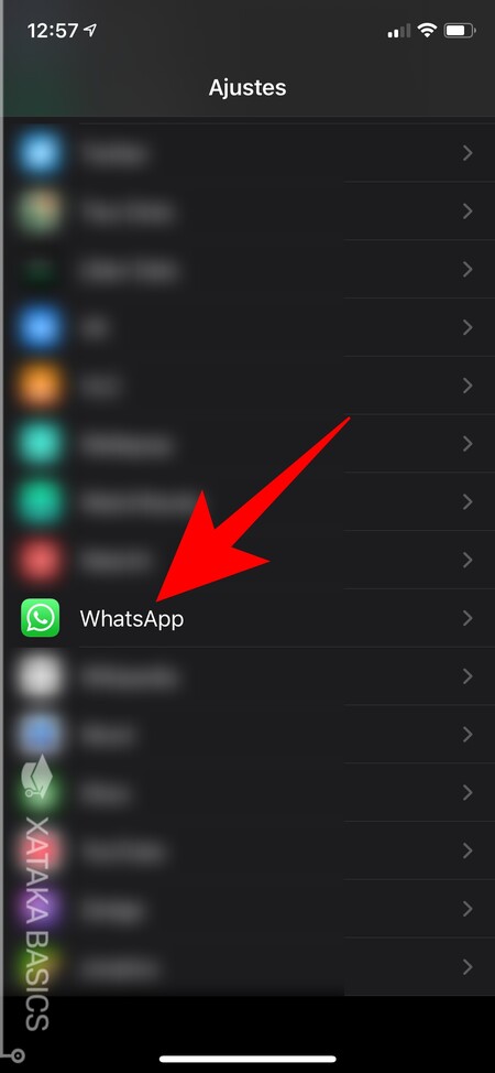 Ios Whatsapp