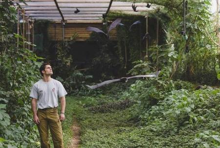 ¡Eh! ¡Henry Cavill! ¡Yo también estoy en peligro de extinción! ¡Ven a protegerme!