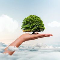 Empresas de la construcción ecofriendlys: así han cambiado los materiales de construcción con los años… aunque no tanto 
