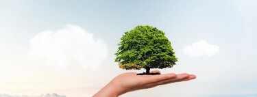 Empresas de la construcción ecofriendlys: así han cambiado los materiales de construcción con los años… aunque no tanto 