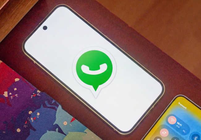 Whatsapp Birdychat