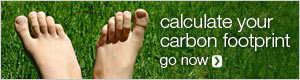 <em>Carbon Footprint</em>: mide el tuyo