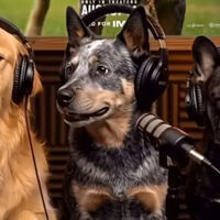 'El final de Oak Street' lanza un vídeo generado por IA de perros haciendo un podcast. Ha sido uno de los mayores errores de la historia del marketing moderno 