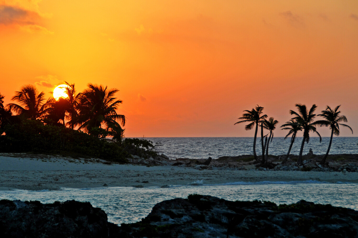 Disfrutar de la Riviera Maya con nueve planes en plena naturaleza