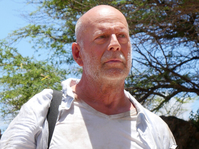 Bruce Willis (71 años) tenía 3 hectáreas en el Caribe en su propiedad y construyó un complejo de lujo que vendió por 27 millones de dólares