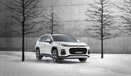 Suzuki Traccion Total 8